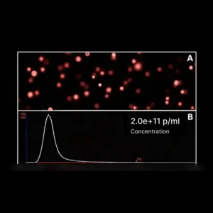 M-PMED Isolation Kit of Exosomes and Extracellular Vesicles (EVs) –  Magnetic Separating Cartridge