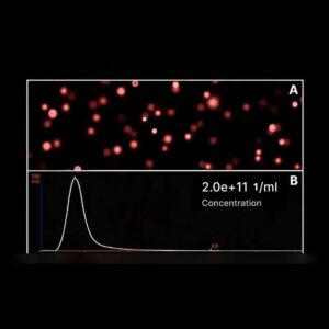 M-PMED Isolation Kit of Exosomes and Extracellular Vesicles (EVs) –  Magnetic Separating Cartridge